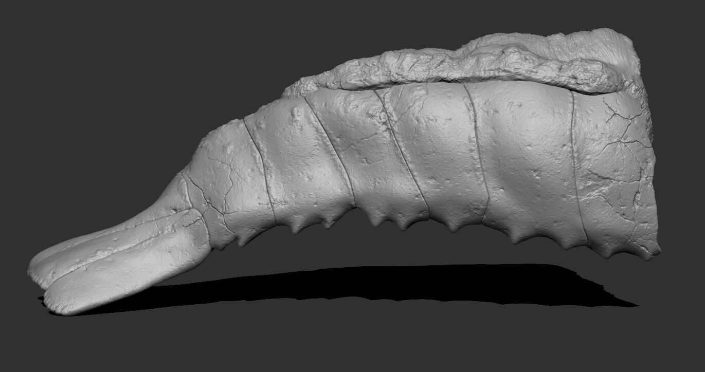 Zbrush_Lobster