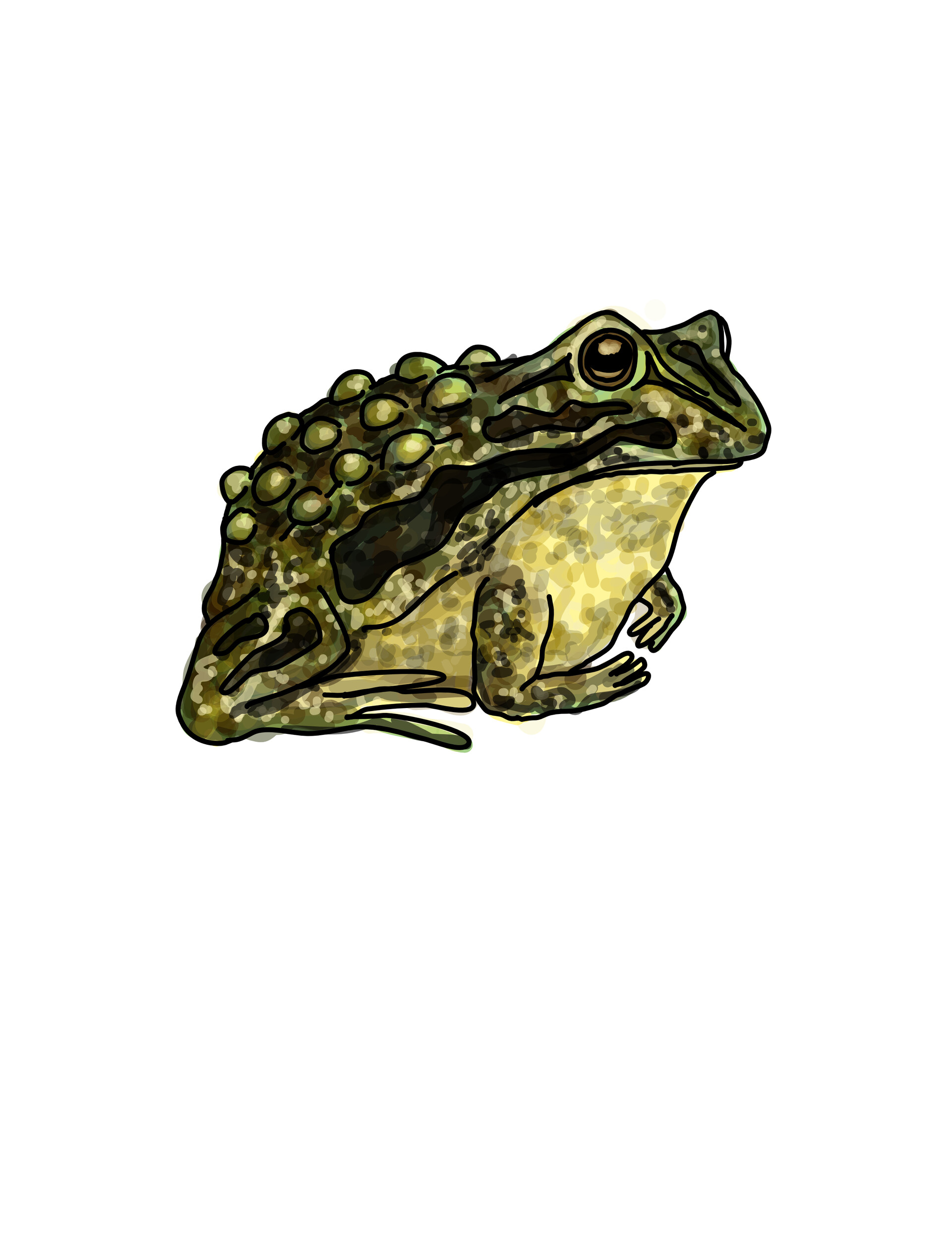 ArtStation Frog Reproduction Methods