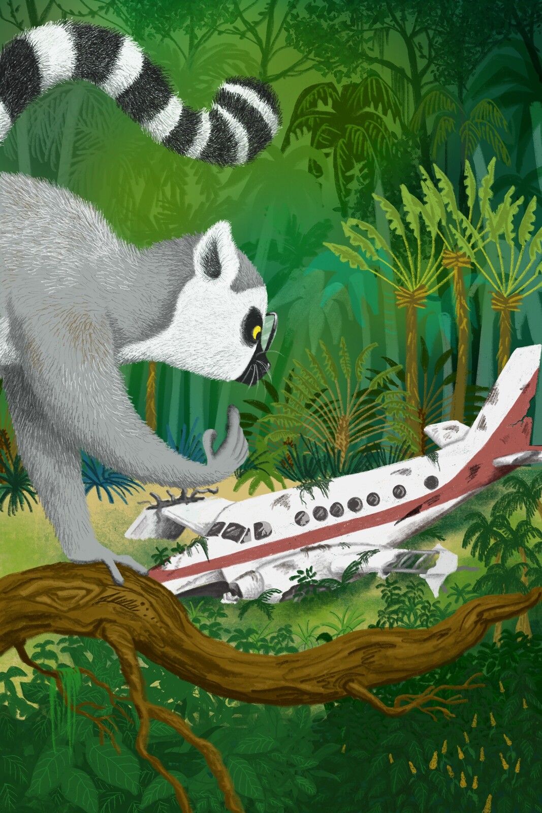 A plane crashed with a group of scientists on board, on the  island of 
Madagascar 