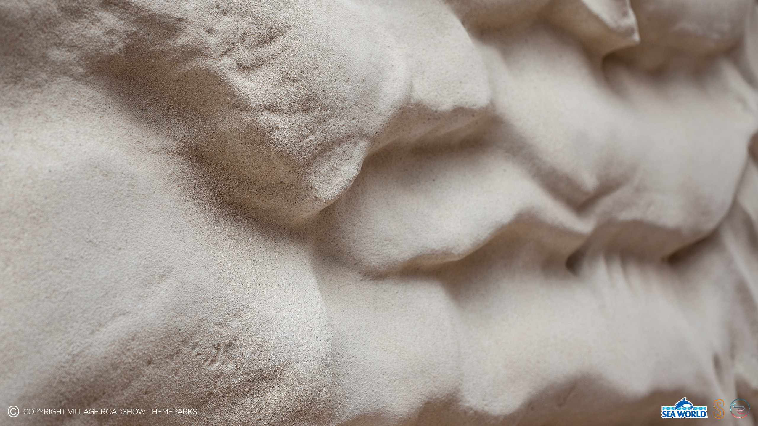 Up close shots of the final surface finish done by the studio.