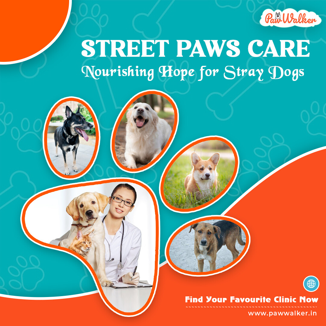 ArtStation Vets for Pets