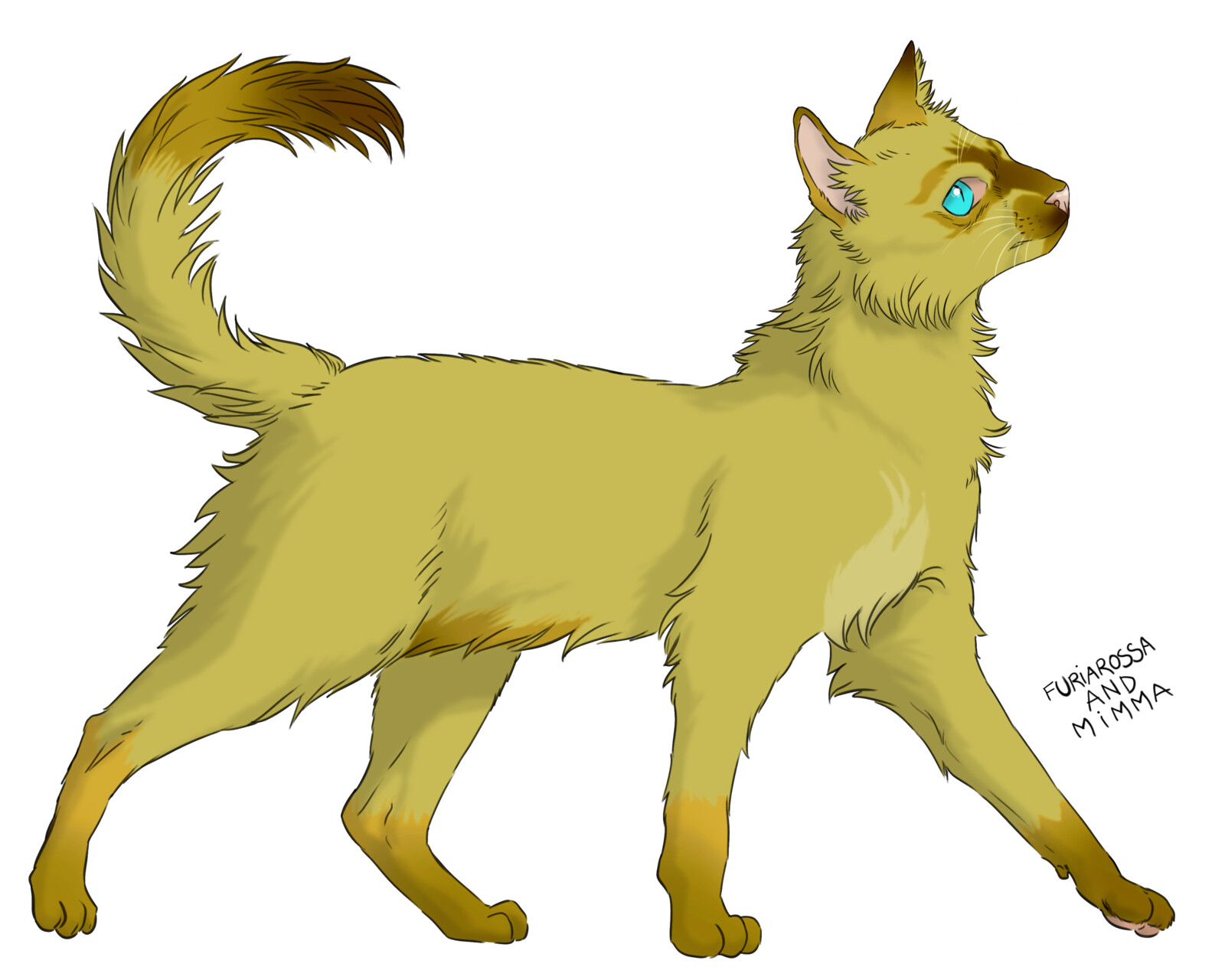 Cat form