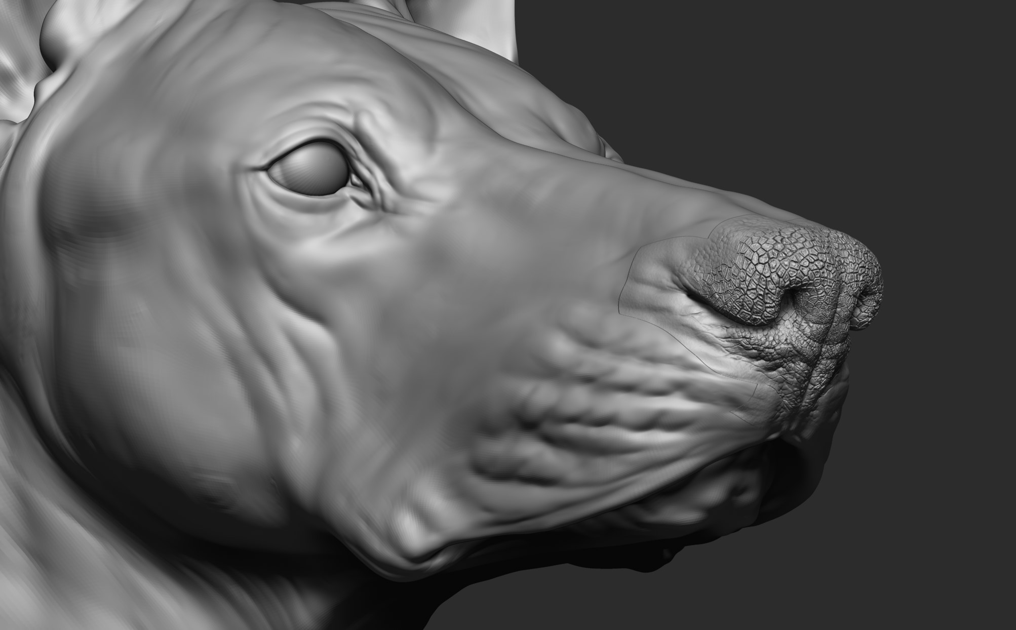 Model - nose close up and detailed sculpt