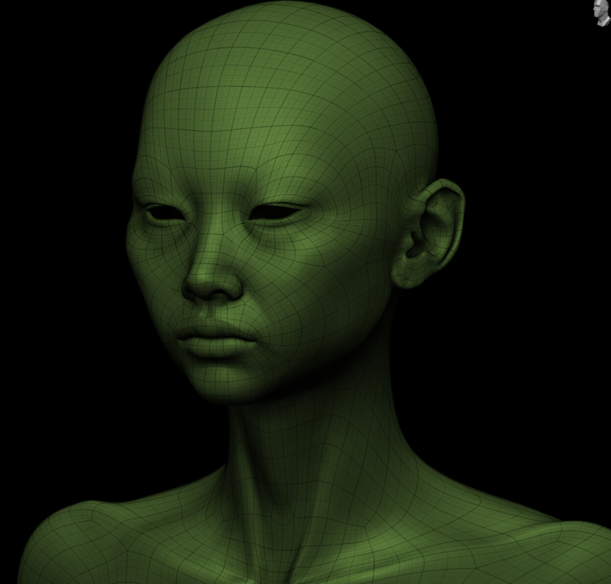 Topology after retopology and reprojection.