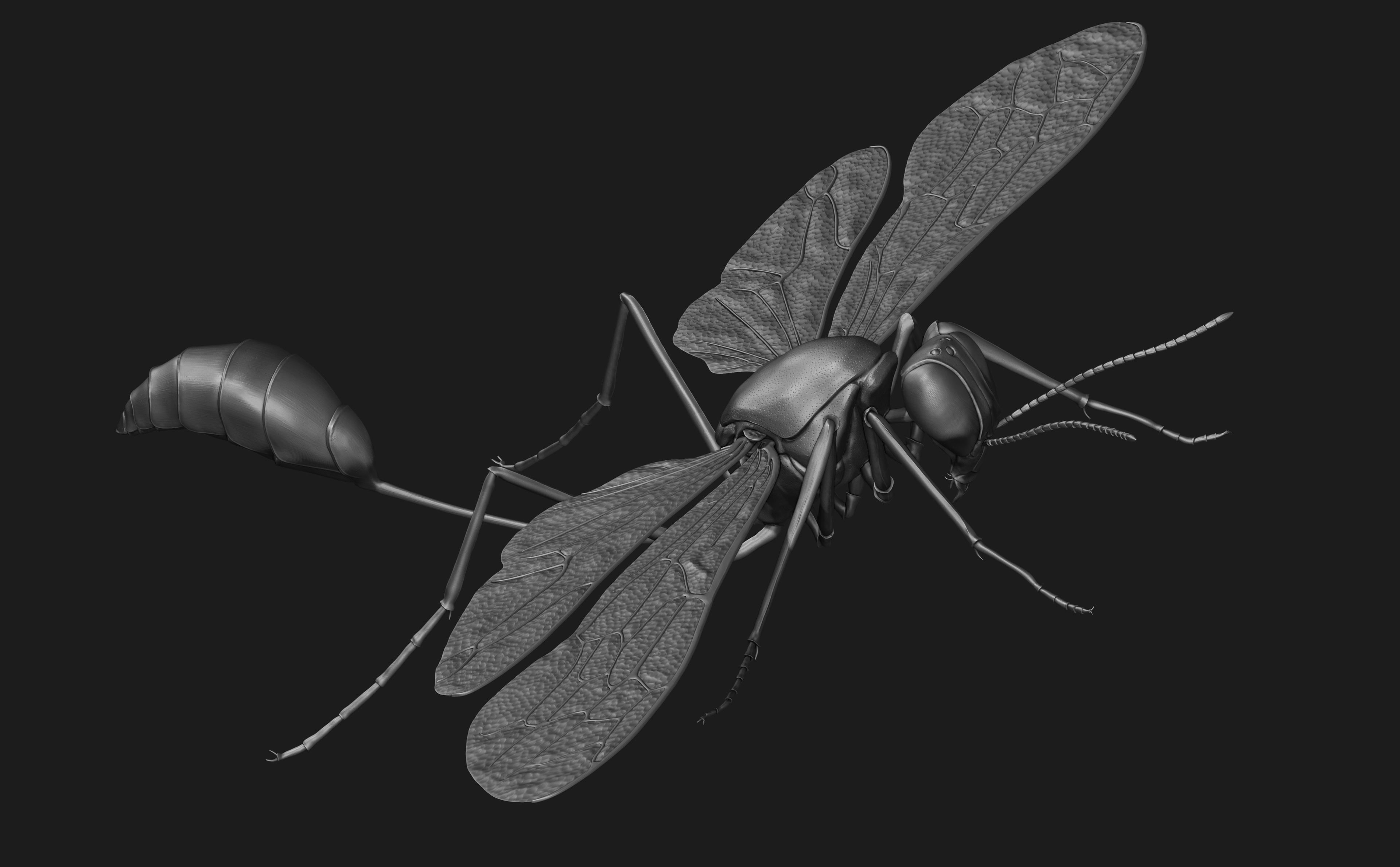 Zbrush sculpt
