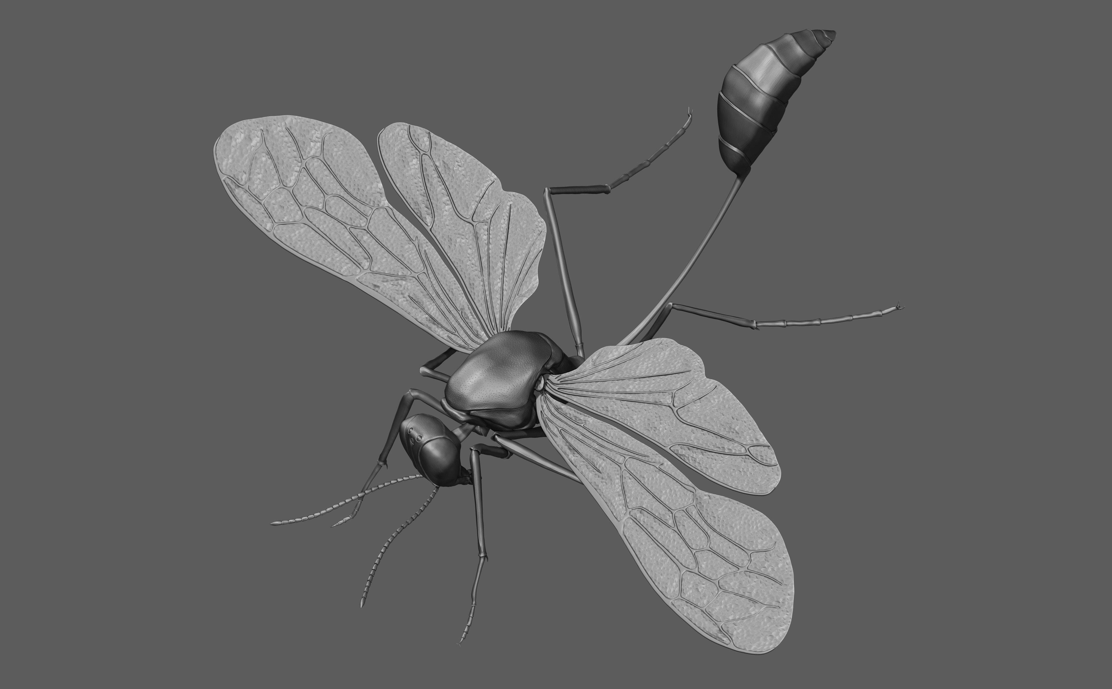 Zbrush sculpt
