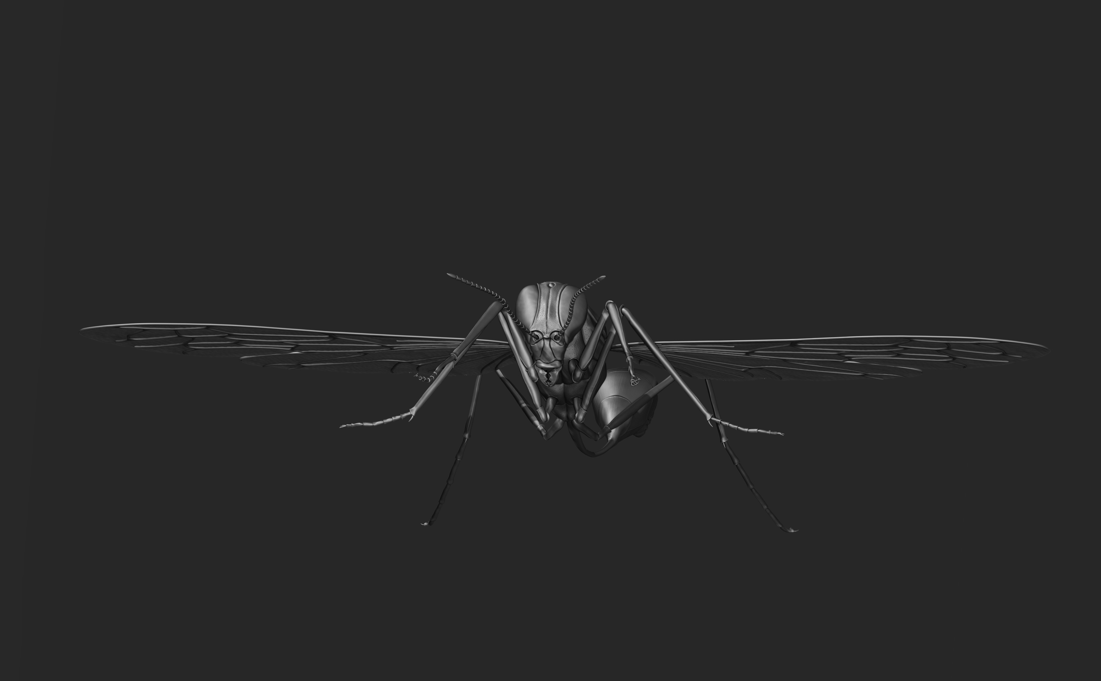 Zbrush sculpt
