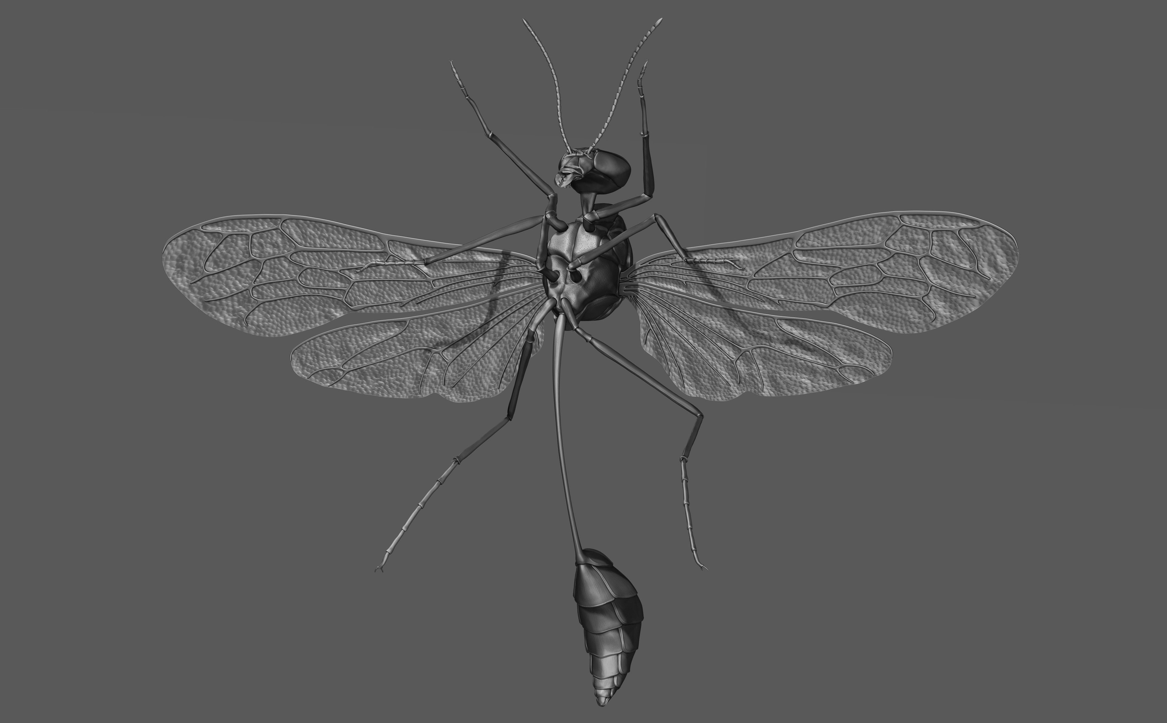 Zbrush sculpt