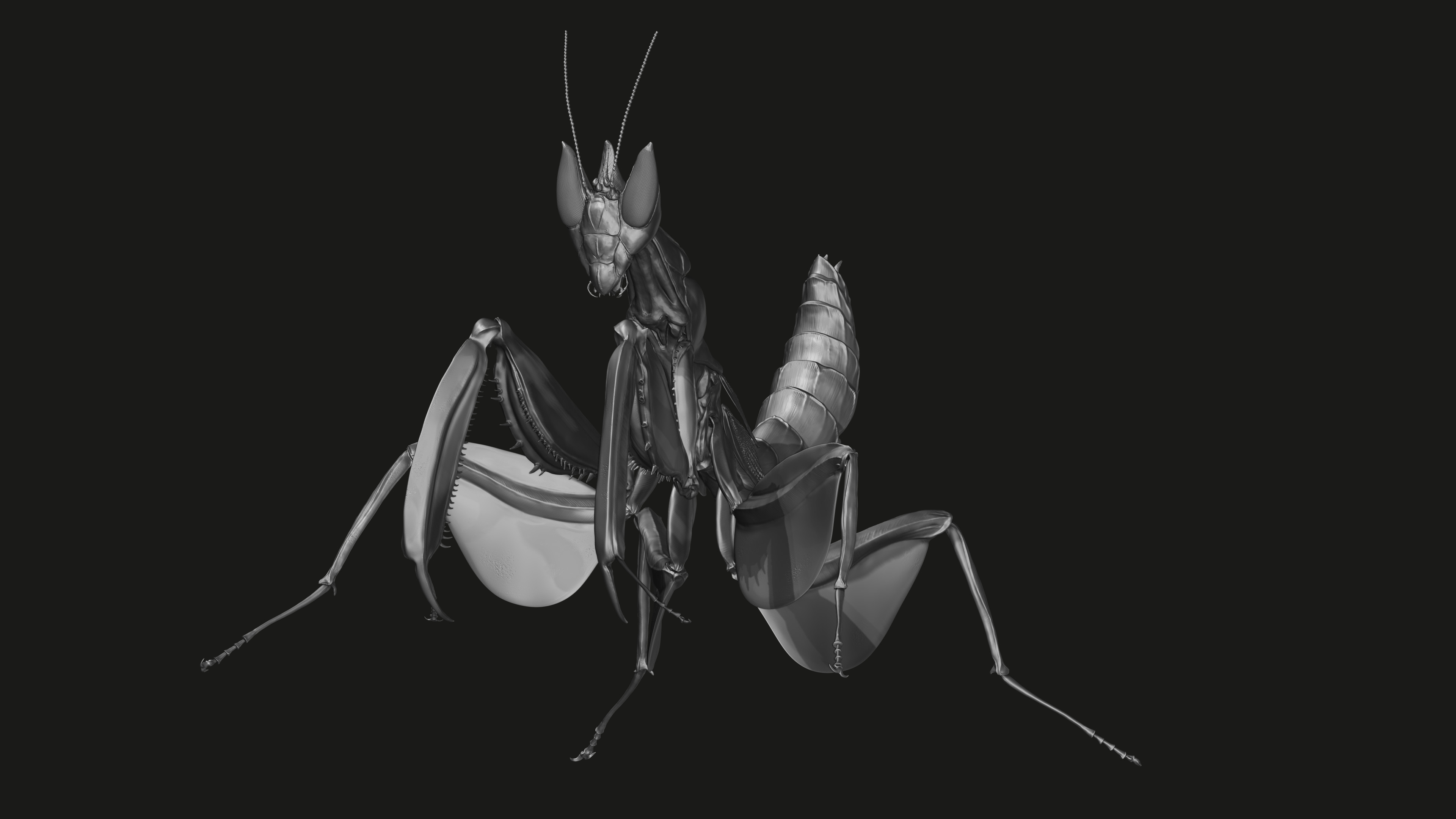Zbrush sculpt