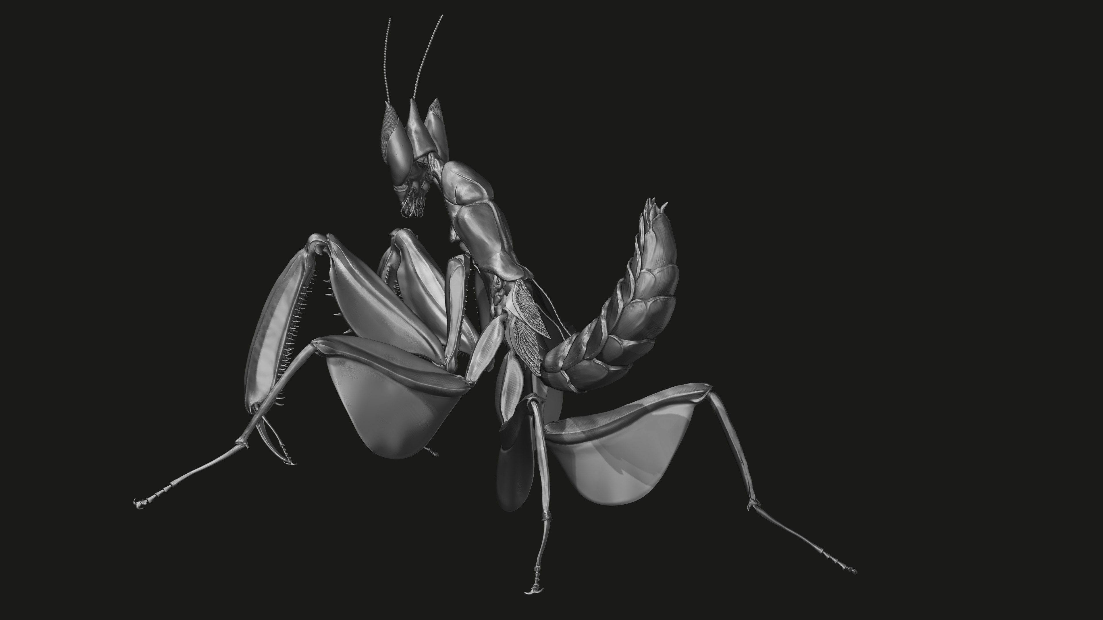 Zbrush sculpt
