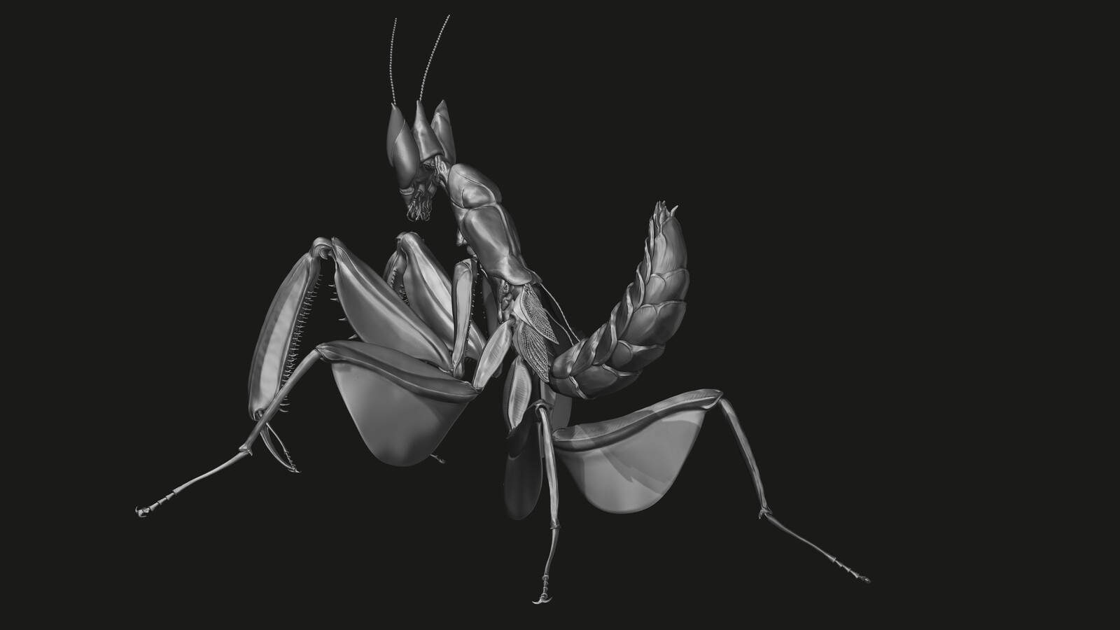 Zbrush sculpt