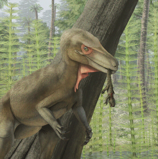 A Staurikosaurus catches a Clevosaurus