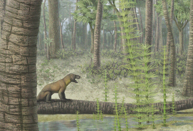 Trudidocynodon
