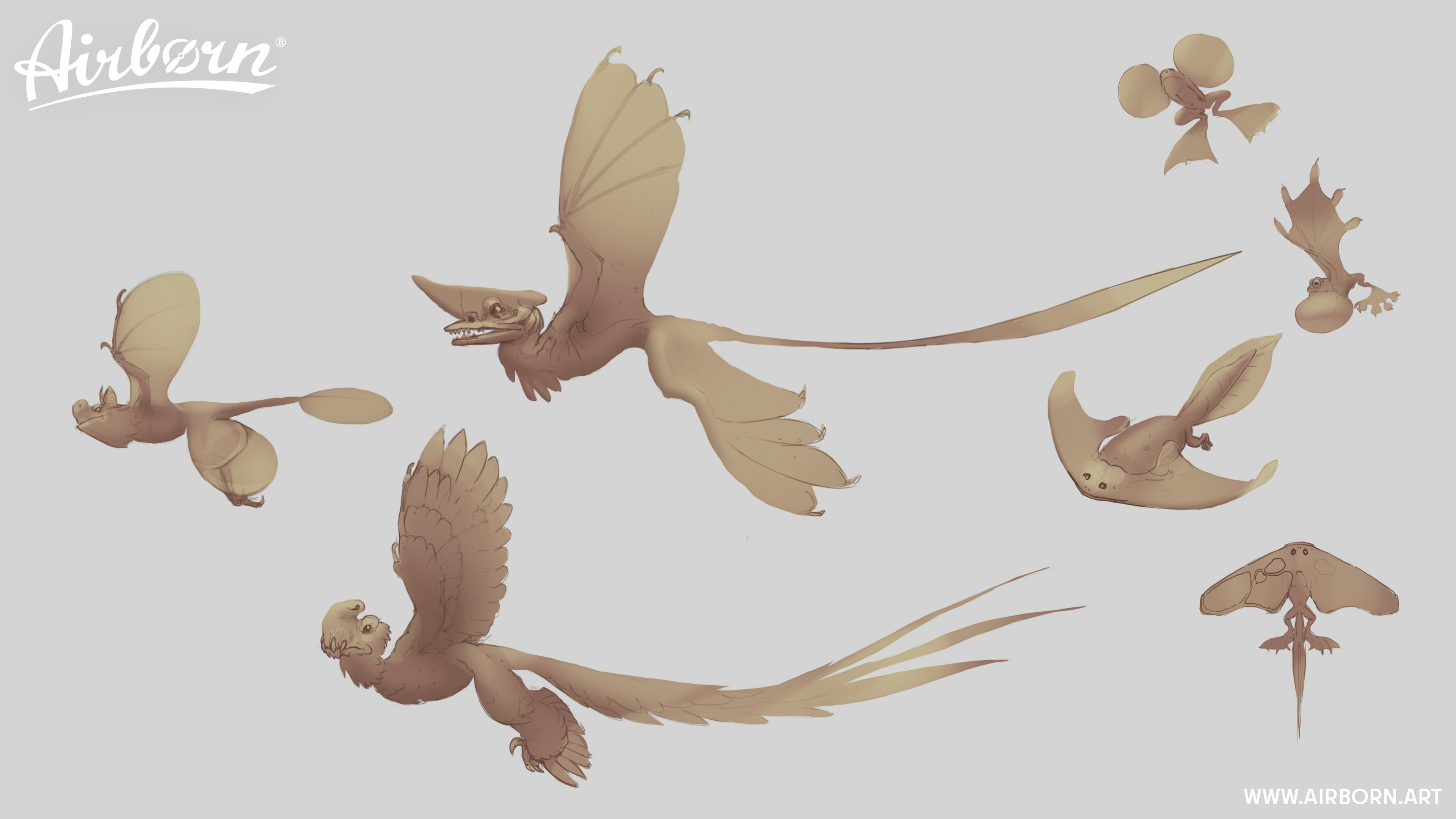 Animal Concept Exploration by Jonas Kunert