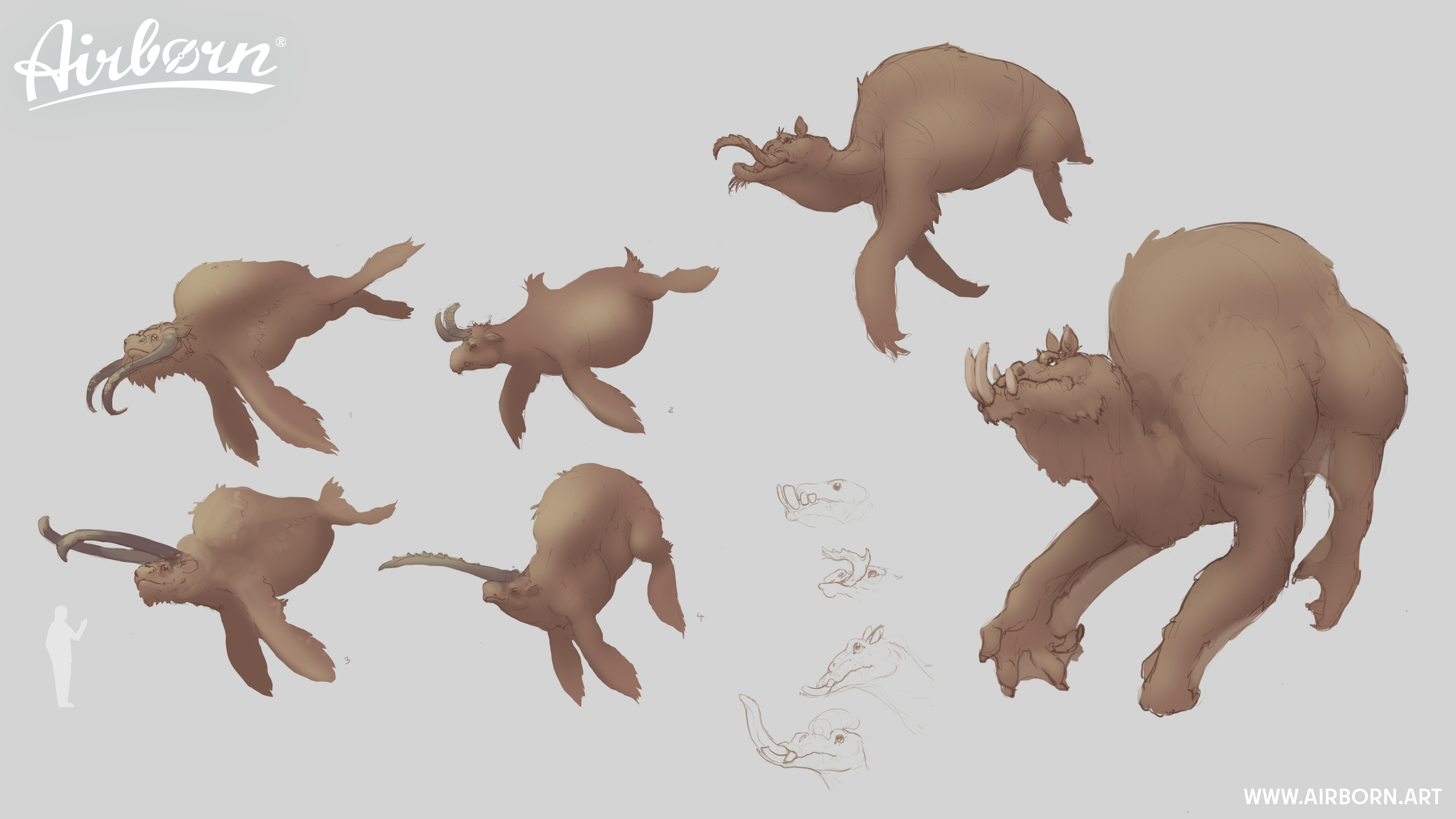 Animal Concept Exploration by Jonas Kunert