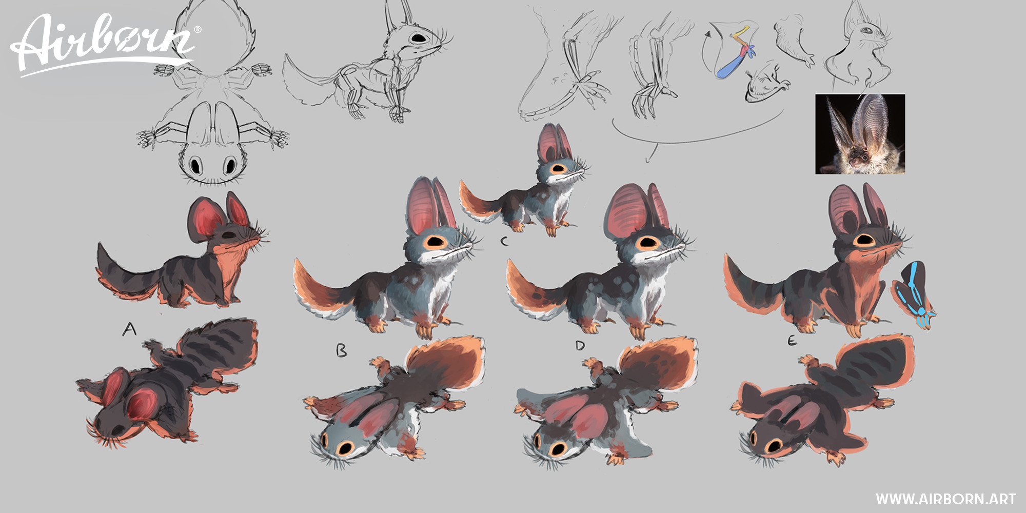 Critter Color Concepts by Ilka Hesche