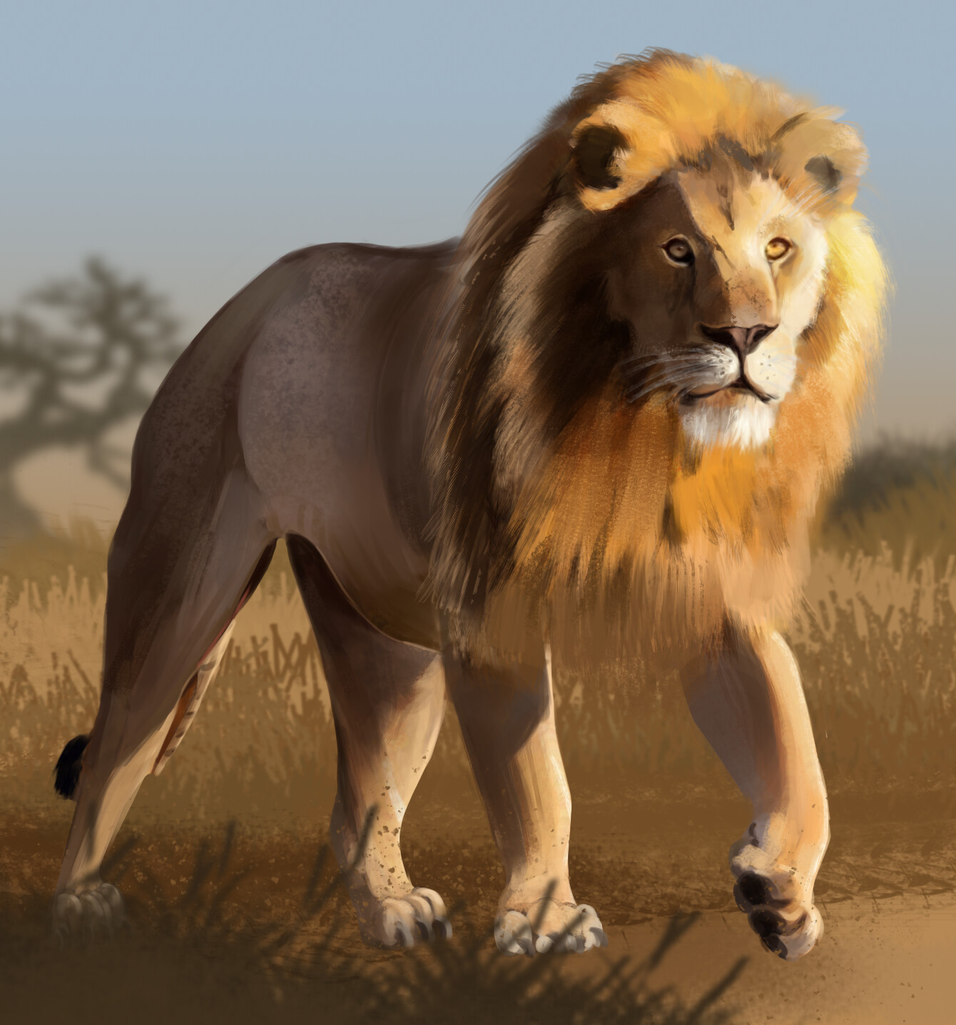 ArtStation - Animals study