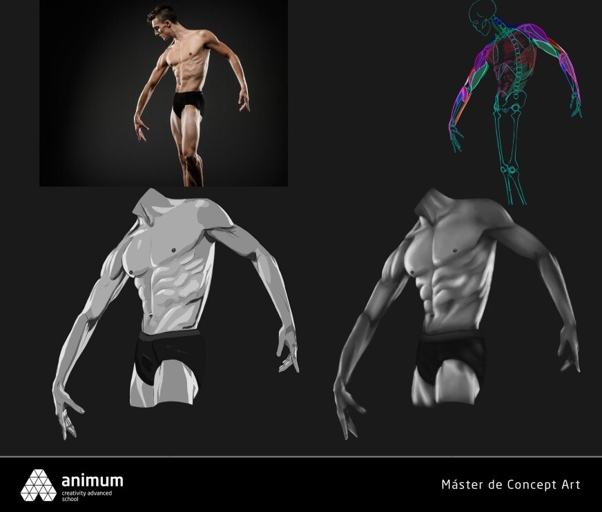 ArtStation - Anatomy: Arms
