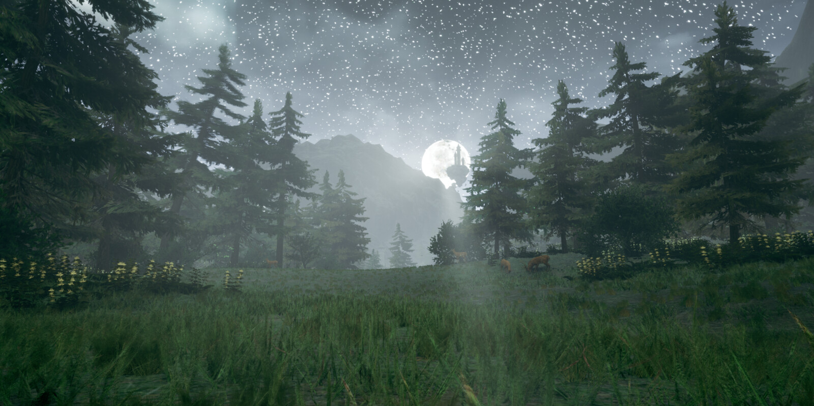 Moonlit Forest