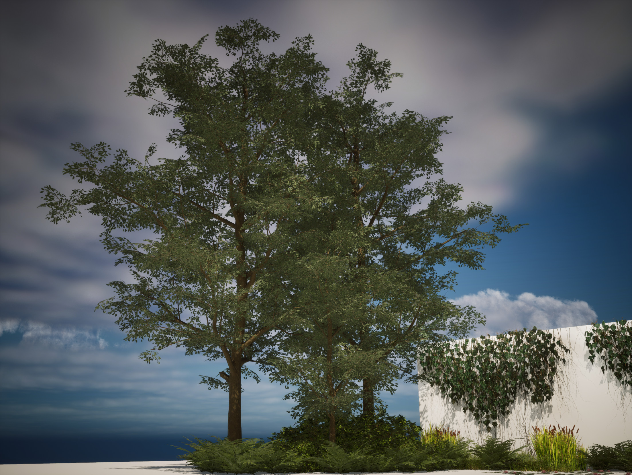 Trees