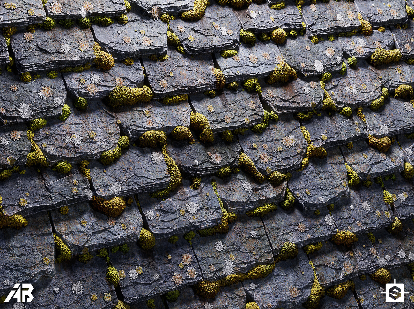 A different angle to see how the moss shades. 