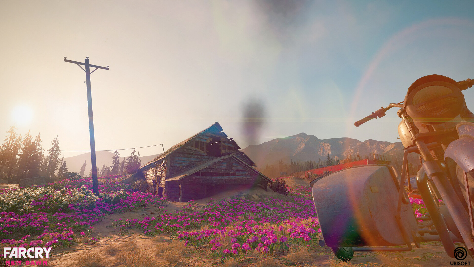 ArtStation - Far Cry New Dawn