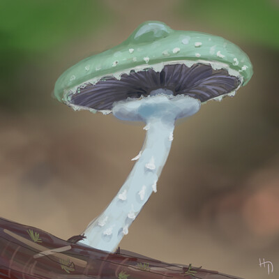 Green Mushroom