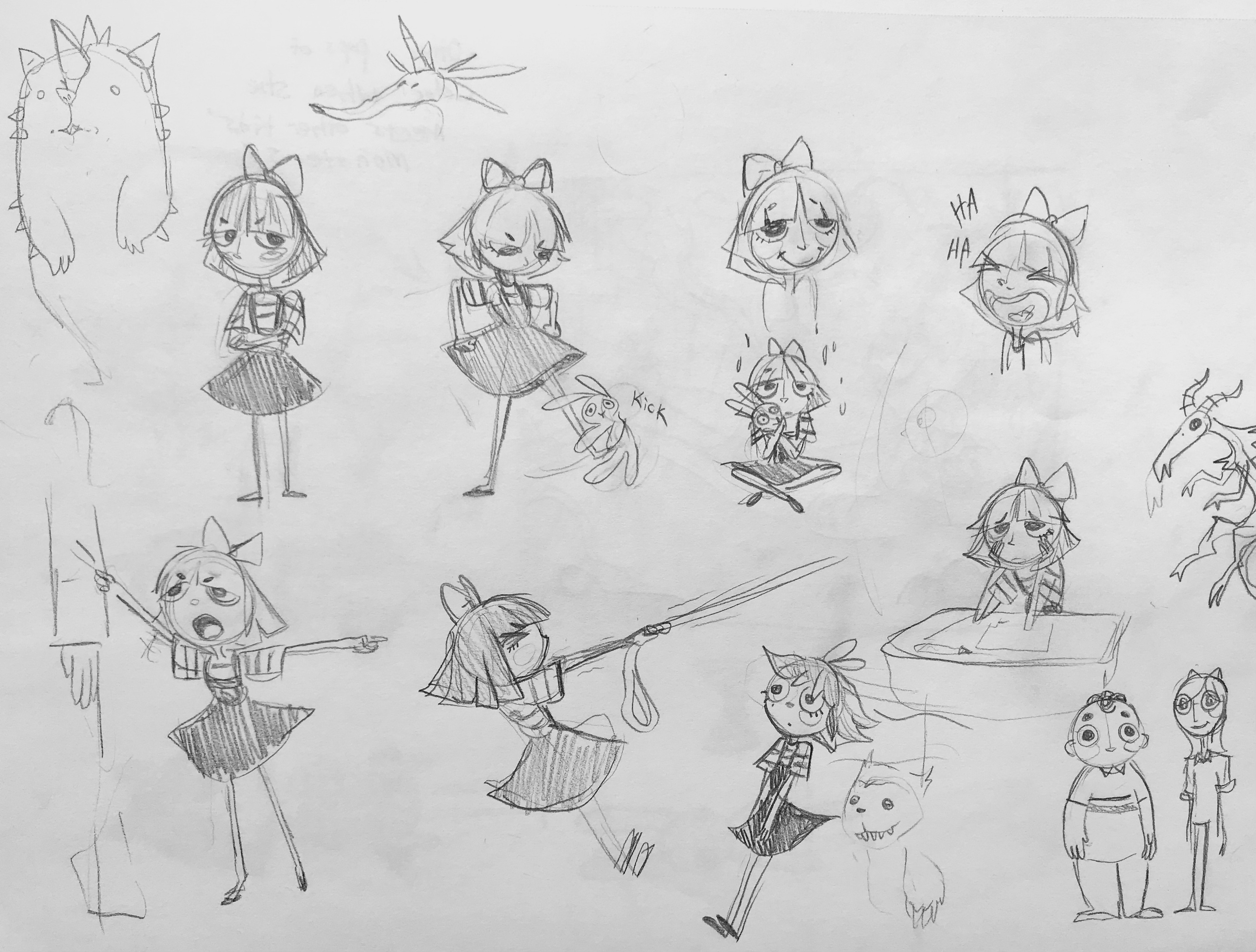 Expression sheet
