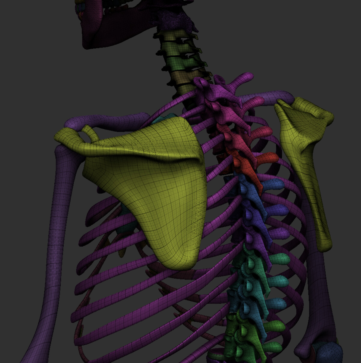 Manually Retopologised for easier modeling and for use in a game/film.