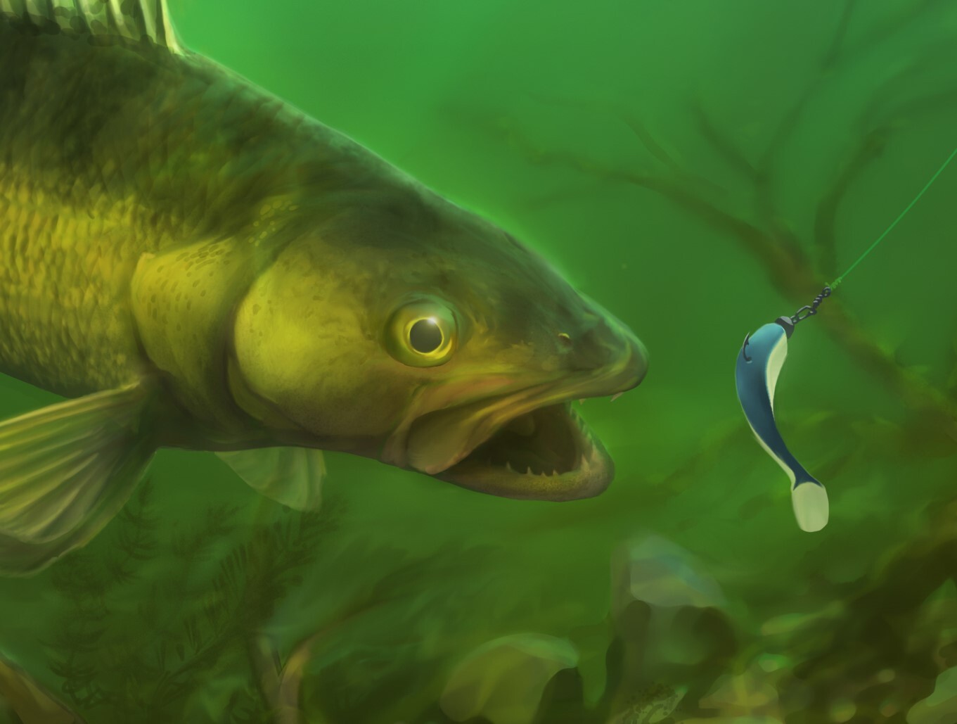 Zander Profishing Detail