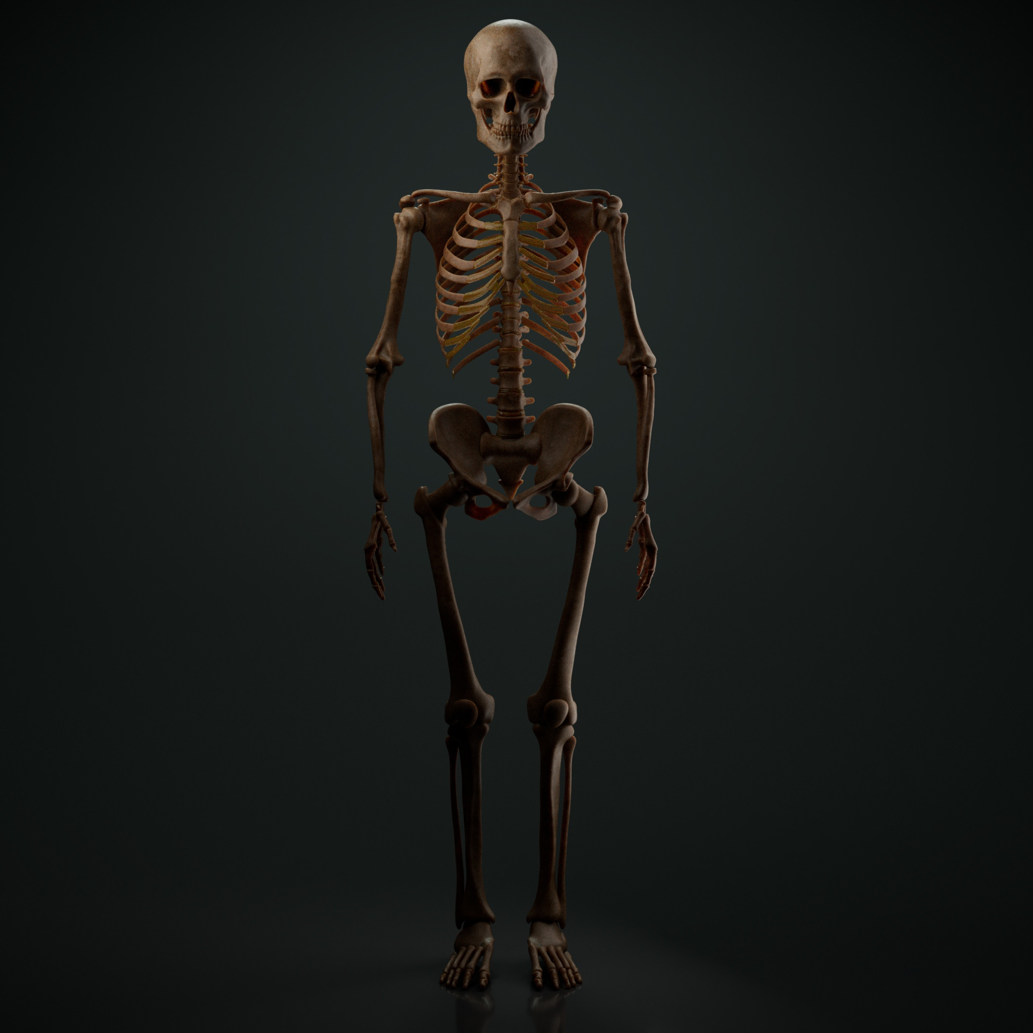 Render 2