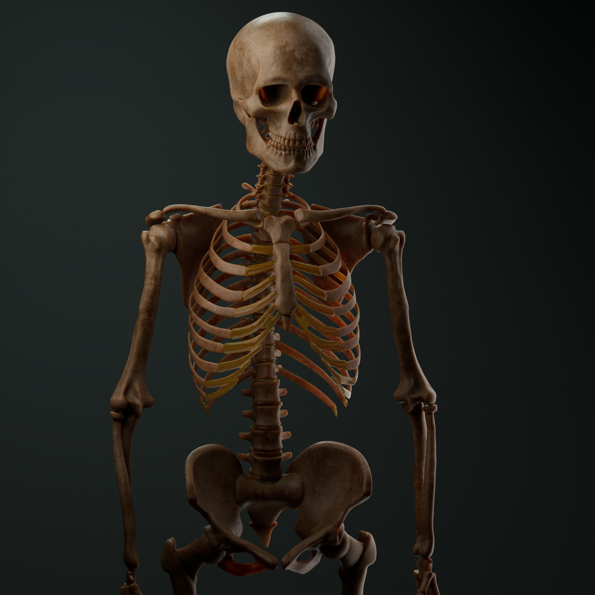 Render 1