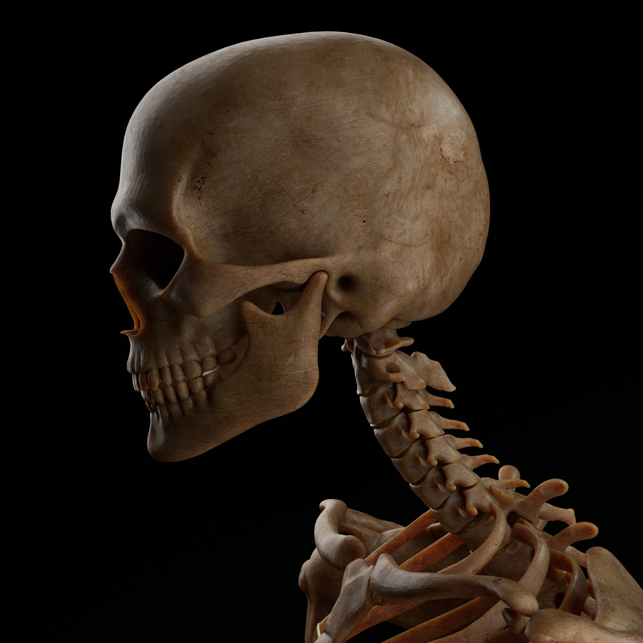 Render 4
