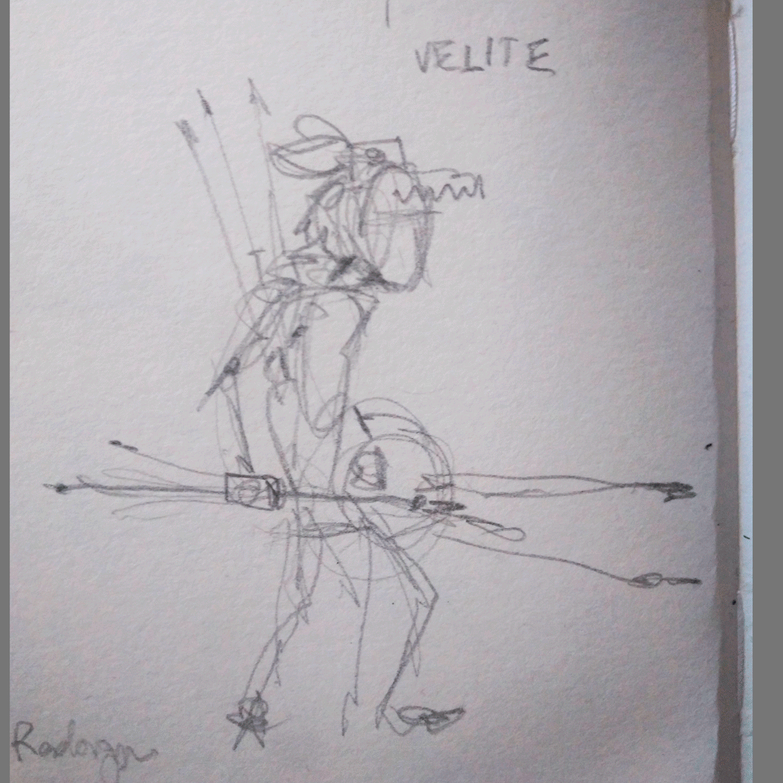 Velites process gif