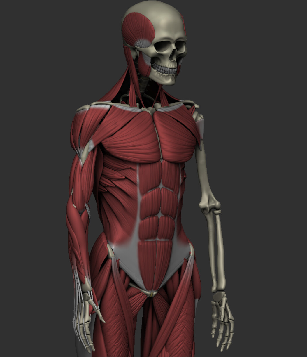 Work in Progress