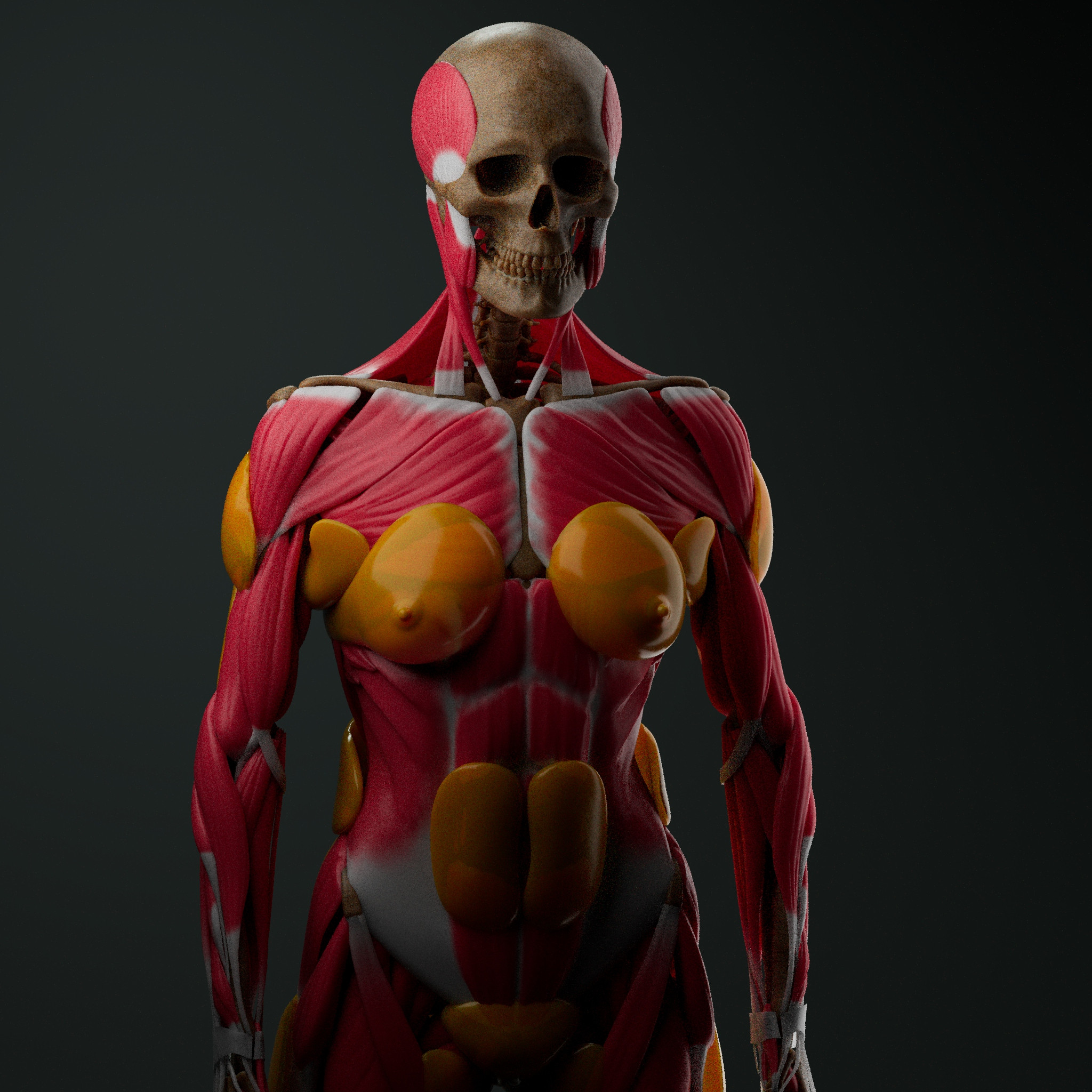 A Preview render of my work in progress.