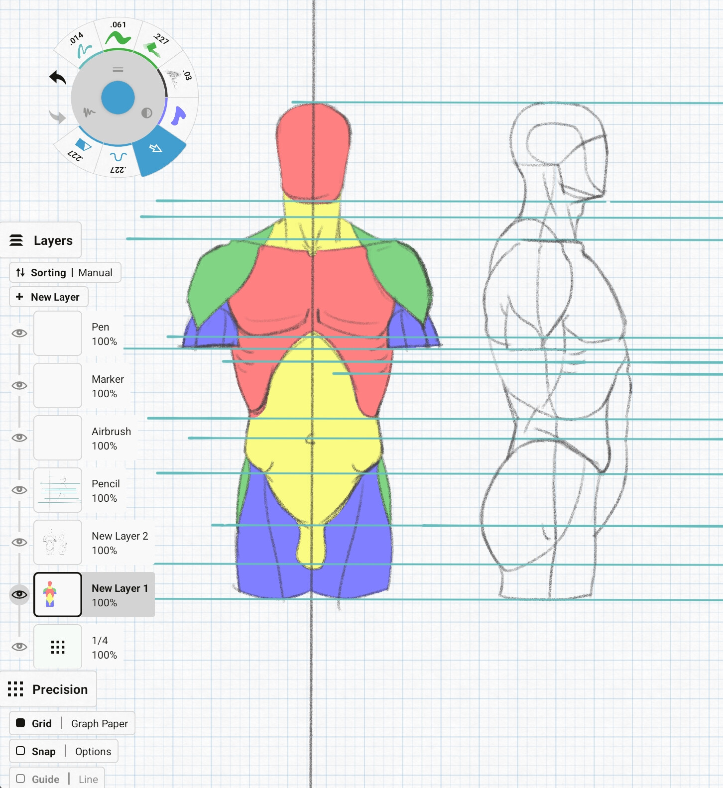 Using Concepts App for many of my anatomy sketches