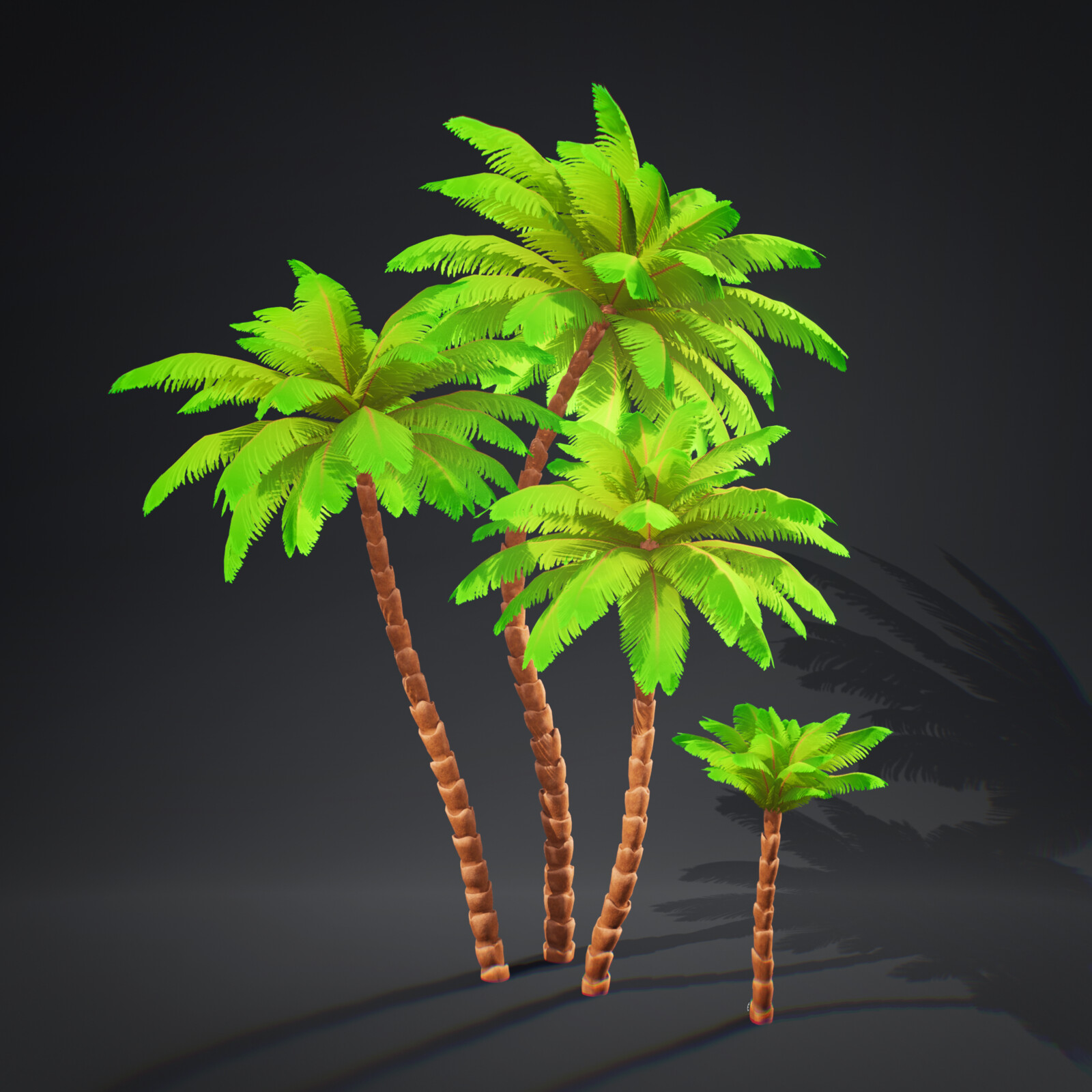 Palm trees