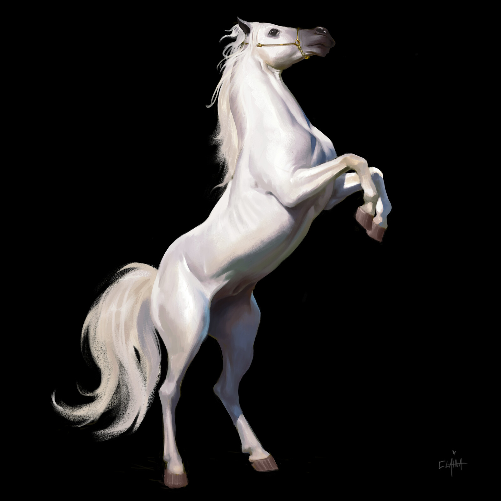 Jumping horse