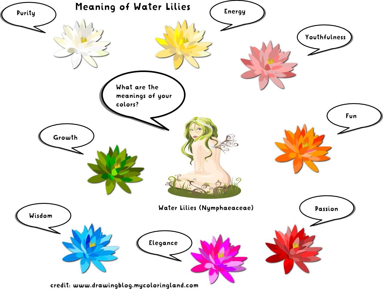 ArtStation The Meanings of Water Lilies