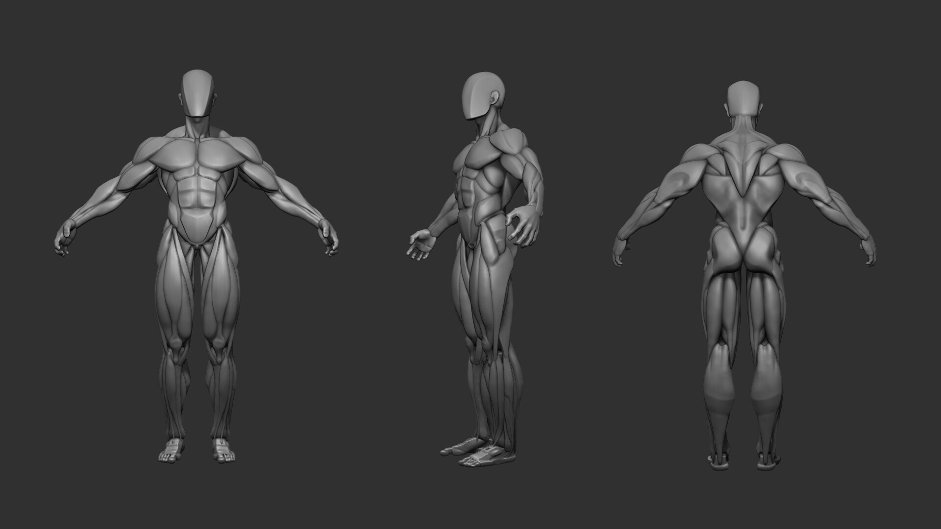 Artstation - Anatomy Study