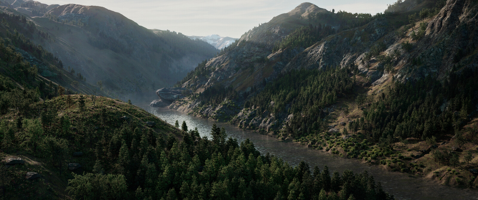 Environment