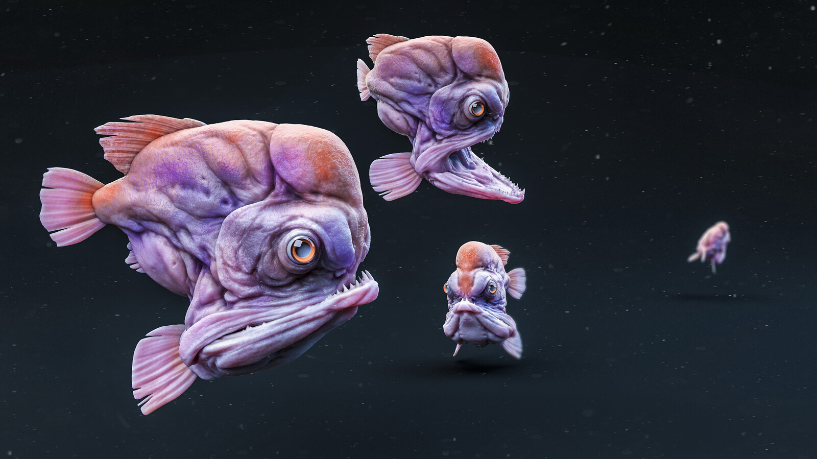 Seacritters : Nope