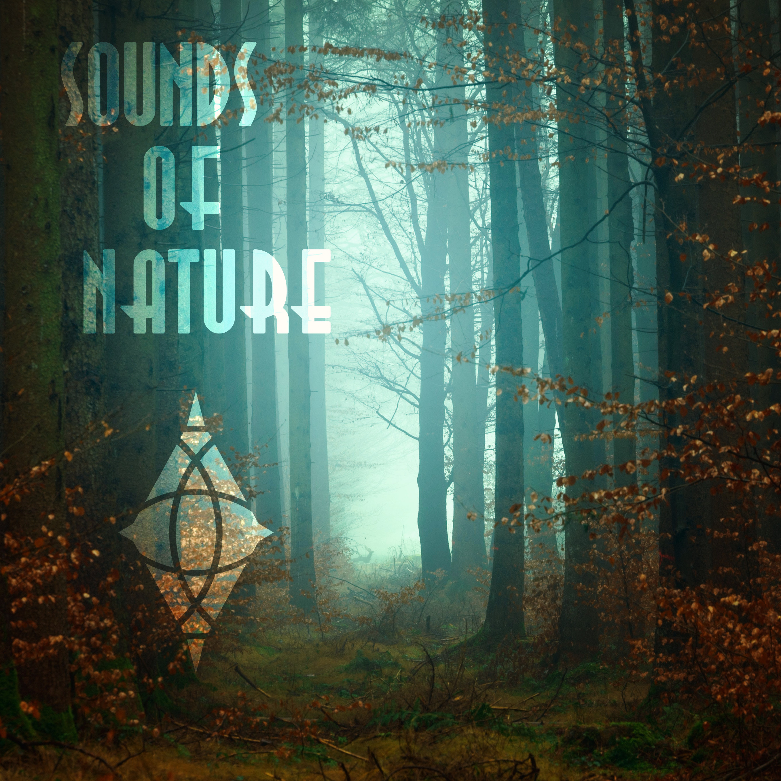 Album Art (from Unsplash)