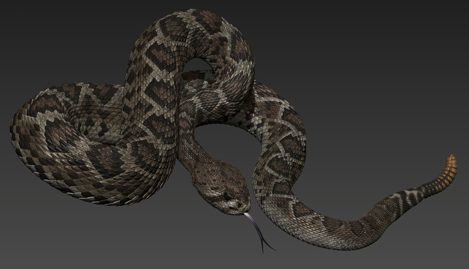 Snakes