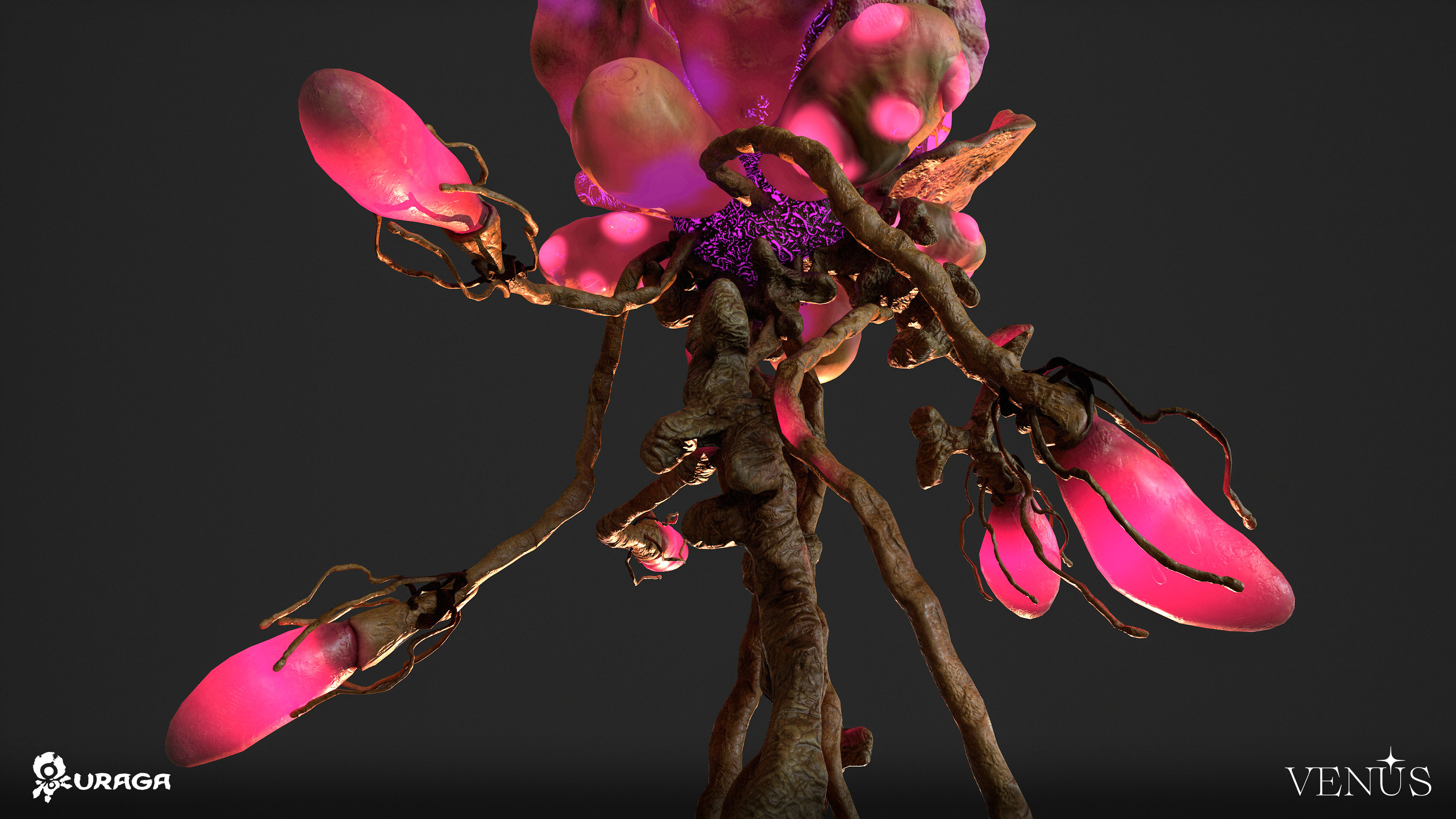 ArtStation - VENUS Metaverse - Jellyfish