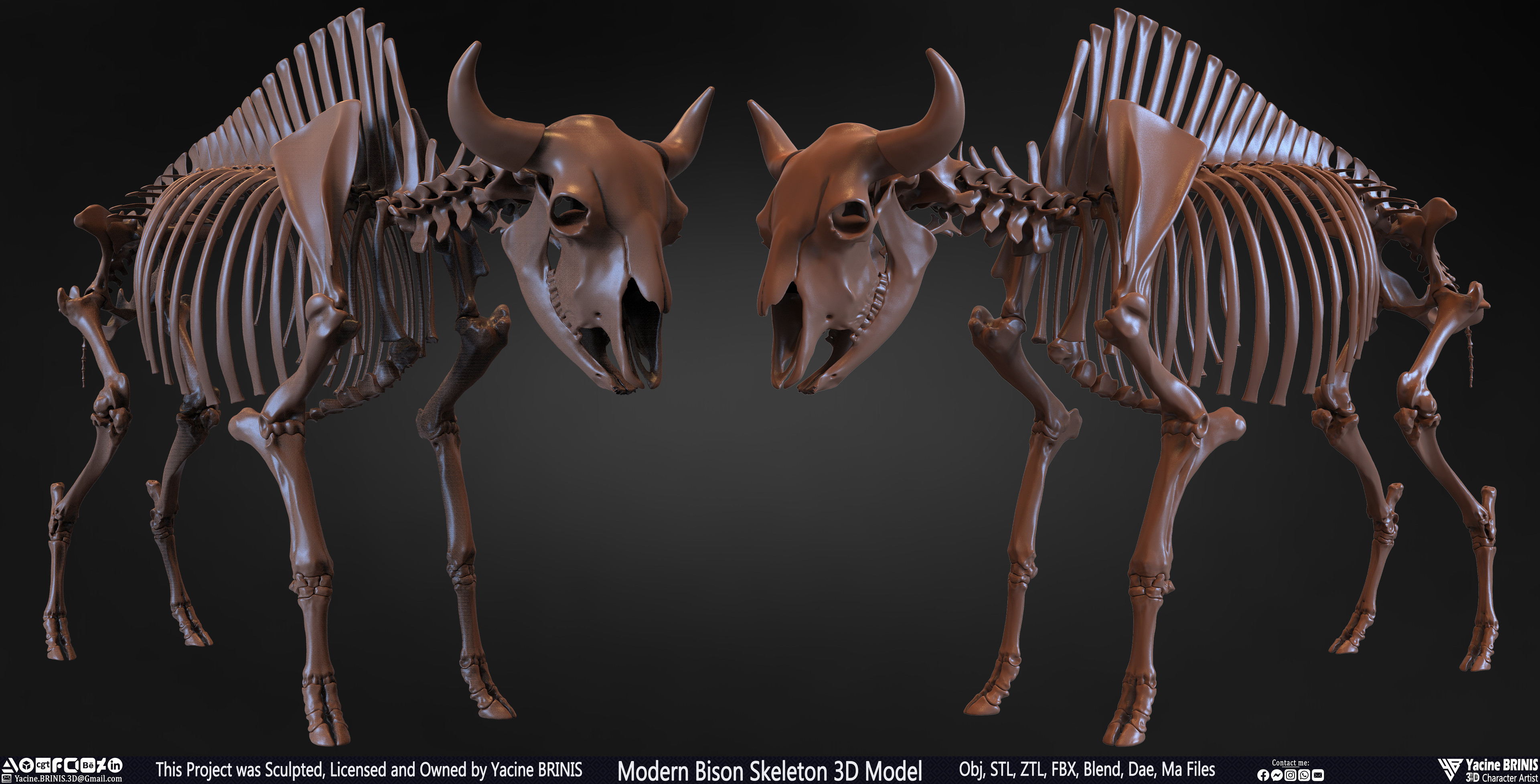 Modern Bison Skeleton 3D Model Sculpted by Yacine BRINIS Set 003