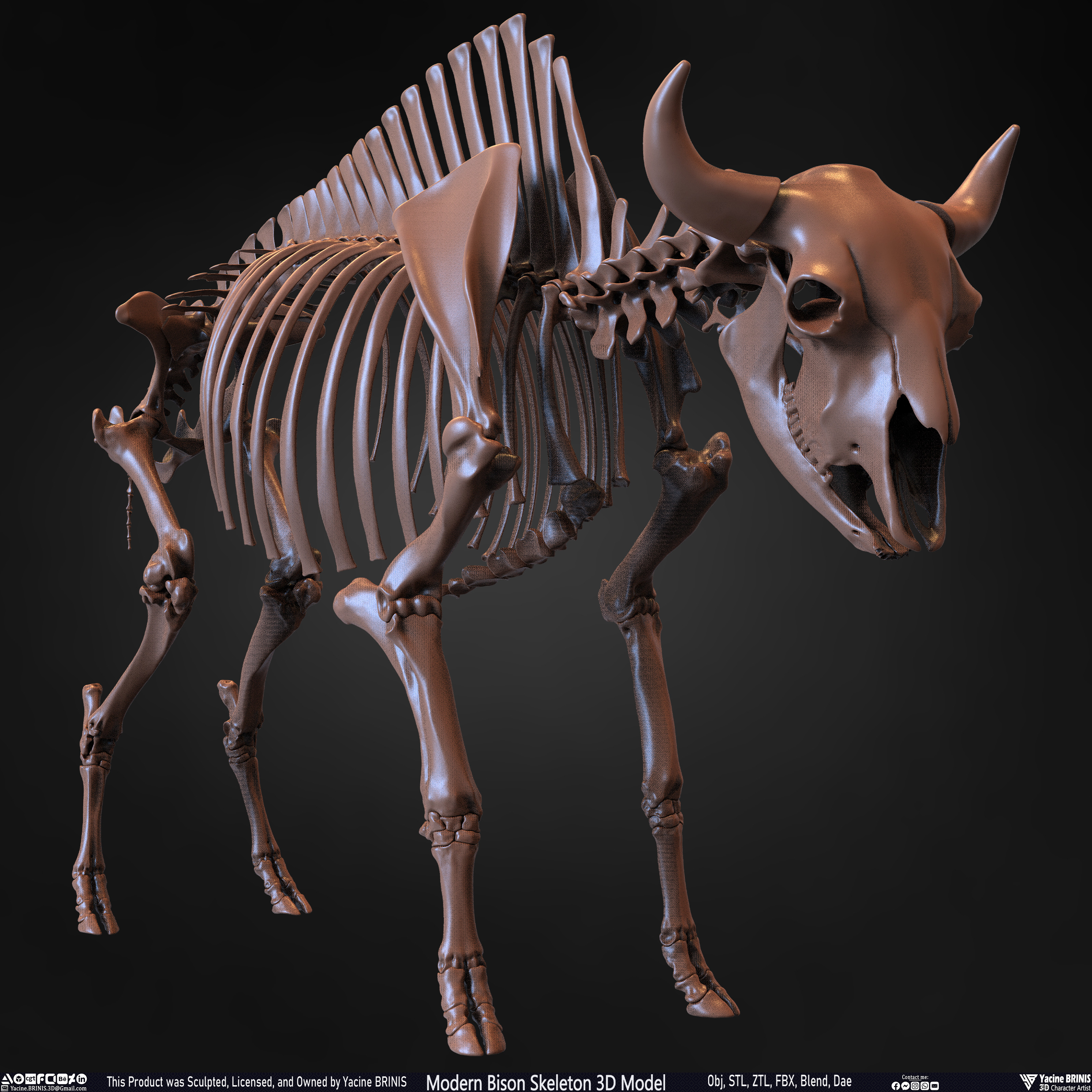 Modern Bison Skeleton 3D Model Sculpted by Yacine BRINIS Set 004