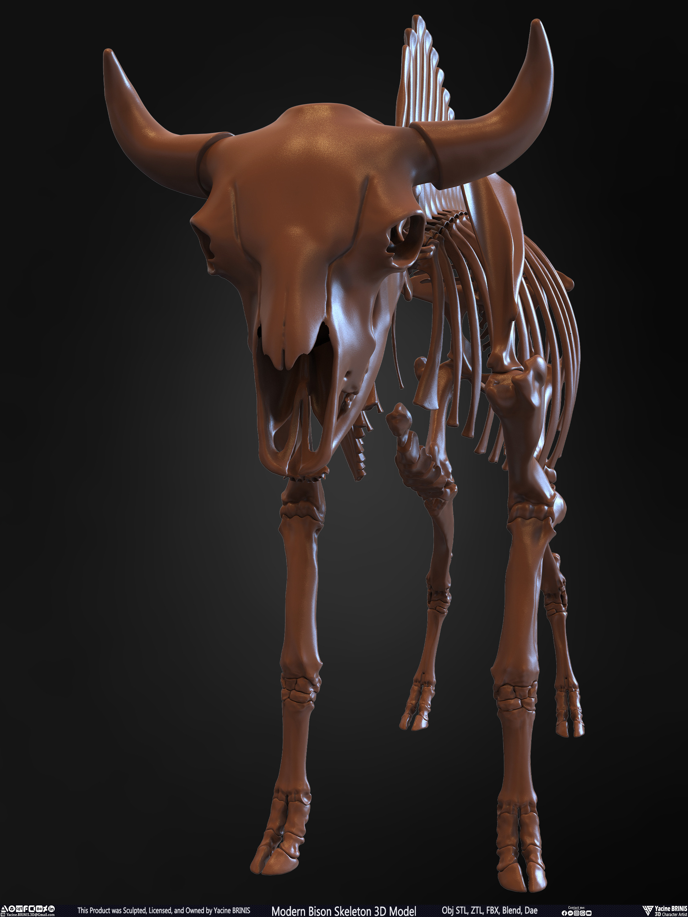 Modern Bison Skeleton 3D Model Sculpted by Yacine BRINIS Set 010
