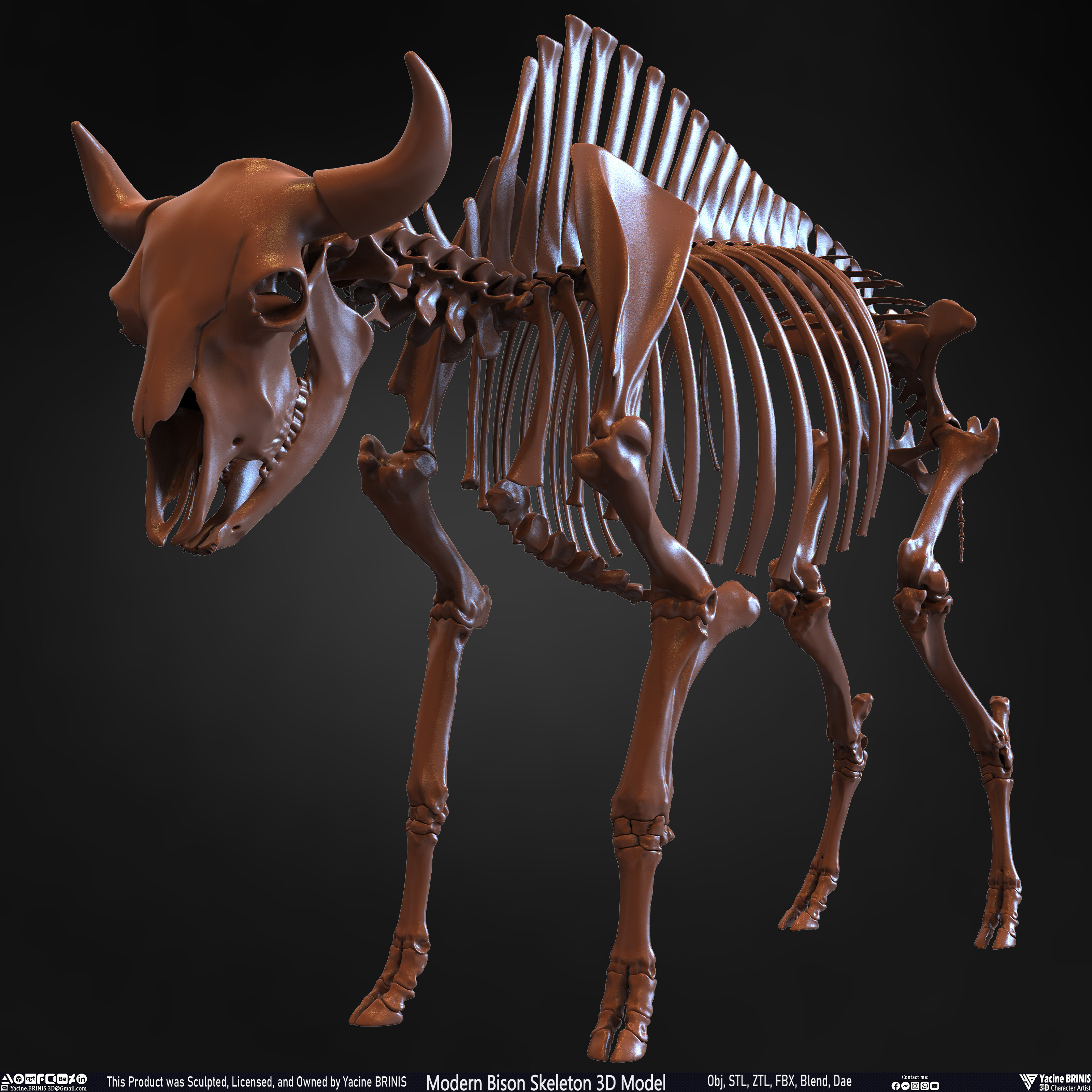Modern Bison Skeleton 3D Model Sculpted by Yacine BRINIS Set 013